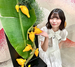 1c27611be88e2f33f1cc.webp
