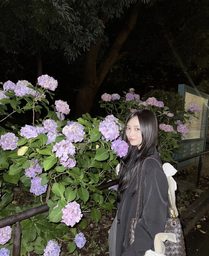 b923db717100c5358750.webp