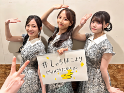 bc15bcd970ff65c586a5.webp