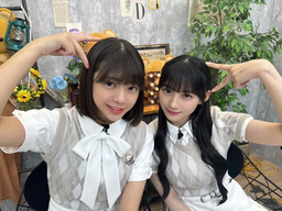 c9eb8447ae072e545d16.jpg.webp