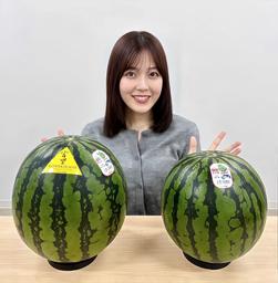 f758322a23d0b78aff71.webp