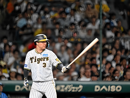 24b3ec718f69fe0a9b53.webp