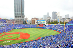 53ae6eeccdde48950c35.webp