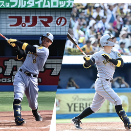 5487ea98f3c283f75eae.webp