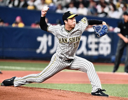 72d6970b72f3f1c76602.jpeg.webp