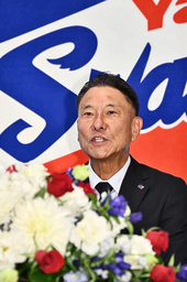 9b371a610cbca2672e53.webp