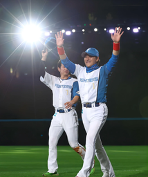 a8571fadccd2903f26f5.jpeg.webp