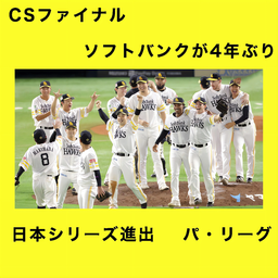 b6c6c327f010875ed25a.jpeg.webp