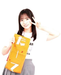 c90baac287243a86b2fe.webp