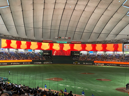 0a55ac061c565f9615e1.jpeg.webp