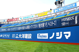 12a40362112b07a200dd.jpeg.webp