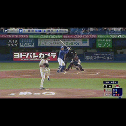 17e87102d71ca78b81fc.gif