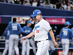 2c3e93fd3211499d5144.webp