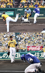 6bcb65922792b8ce732a.webp