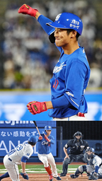 725939f67a65d9c49045.jpeg.webp
