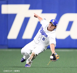9c4d06487f07b21a606f.jpeg.webp