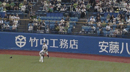 e2405921988392bbf0bf.gif