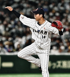 e96775feccceea9e1394.jpeg.webp