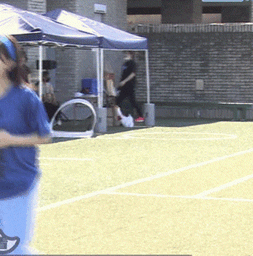 f89e58ba8017e0d6cb00.gif