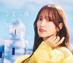 04cff7623a0bc927ff08.webp