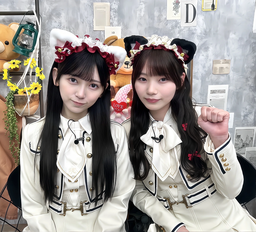5c5852cc5c3134d240d6.webp