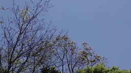 64bd957dbdbdadf862ff.mp4