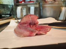 822a8568e086b6590172.jpg.webp