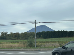 b01837be36c2b340cb4c.webp