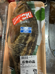 864333f0a441fb049f2a.webp