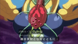 f2a8d6d262ae1404baa1.webp