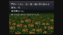 146b6dd04b4e7ad63054.webp