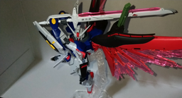 d4e147dcccdaefa3b7b3.JPG.webp