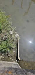 58a300f22654c359069c.webp