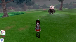 7f17df8ce7c3d3d10a96.webp