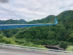 1b4c546b29fce92ab145.webp