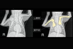 925d663267a175d6836c.webp