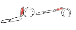 991ceecf5db7491fd497.webp