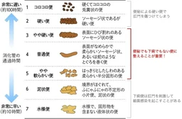 80281a6a4844279ee38d.webp