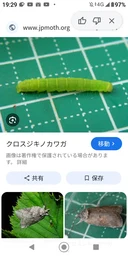 baa02a59af8a923acd84.webp
