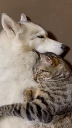 a2fd6853eafacb311bdc.webp