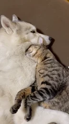 d83b2f8c6f693d0d828f.webp