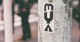 84ca8607e0593a47d04f.webp