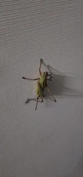 f7fca1c11e9f0084b489.webp