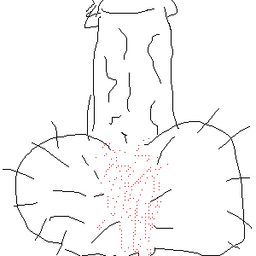 07a09c95438ef1bf0b3f.png