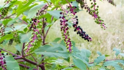 d8268c9ca379ebd19c50.webp
