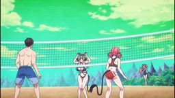 dd4f3e353400c3356589.webm