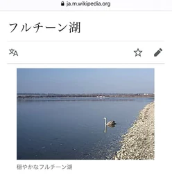 1660bc68036b420b58da.webp