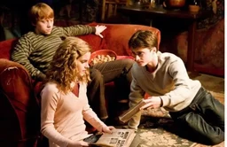 a37c25fb3200073acdff.webp