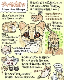 86c6527406605e299e1a.webp