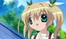 3ffe2fe0c2604fe30709.webp